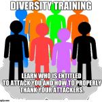 Diversity | DIVERSITY TRAINING; LEARN WHO IS ENTITLED TO ATTACK YOU AND HOW TO PROPERLY THANK YOUR ATTACKERS. | image tagged in diversity | made w/ Imgflip meme maker