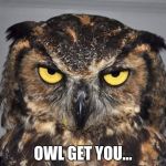 Owl Get You | OWL GET YOU... | image tagged in angry owl,i will find you | made w/ Imgflip meme maker