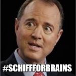 #SchiffForBrains | #SCHIFFFORBRAINS | image tagged in adam schiff | made w/ Imgflip meme maker