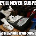 Working Cat | THEY'LL NEVER SUSPECT; IT WAS ME MAKING LEWD COMMENTS. | image tagged in working cat | made w/ Imgflip meme maker