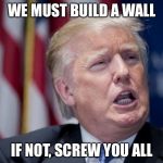 Donald Trump Derp | WE MUST BUILD A WALL; IF NOT, SCREW YOU ALL | image tagged in donald trump derp | made w/ Imgflip meme maker