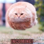 Incoming Cat! | INCOMING! | image tagged in incoming cat | made w/ Imgflip meme maker