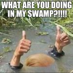Trump Swamp Creature | WHAT ARE YOU DOING IN MY SWAMP?!!!! | image tagged in trump swamp creature | made w/ Imgflip meme maker