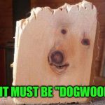 Dogwood | IT MUST BE "DOGWOOD" | image tagged in dogwood,wood,dogs | made w/ Imgflip meme maker
