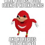 Ugandan Knuckles | WHEN YOU ASK YOUR FRIEND IF HE LIKE SONIC; AND HE REPLIES WITH THE WAE | image tagged in ugandan knuckles | made w/ Imgflip meme maker