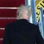 Save Trump's Hair