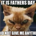 Mad Cat | IT IS FATHERS DAY; U DID NOT GIVE ME ANYTHING | image tagged in mad cat | made w/ Imgflip meme maker