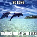 So long. Thanks for all the fish | SO LONG; THANKS FOR ALL THE FISH | image tagged in dolphin jump,memes,roll safe think about it,think | made w/ Imgflip meme maker