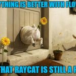 Dogs Vs Cats | EVERYTHING IS BETTER WITH FLOWERS; BUT THAT RAYCAT IS STILL A PRICK | image tagged in dog vs cat,memes,raydog,funny,raycat,animals | made w/ Imgflip meme maker
