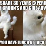 Confused cat | YOU SHARE 30 YEARS EXPERIENCE WITH CROHN'S AND GIVE ADVICE.... THEN YOU HAVE LUNCH AT TACO TIME? | image tagged in confused cat | made w/ Imgflip meme maker