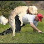 Trump doggystyle