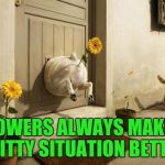 Dog Vs Cat | FLOWERS ALWAYS MAKE A SHITTY SITUATION BETTER | image tagged in dog vs cat | made w/ Imgflip meme maker