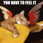 fat cat art musical lute | YOU HAVE TO FEEL IT | image tagged in fat cat art musical lute | made w/ Imgflip meme maker