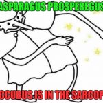 I got some rrrrrrrrrrrrrrrrythm! | ASPARAGUS PROSPEREGUS; THE SUCCUBUS IS IN THE SARCOPHAGUS | image tagged in skidaddle skidoodle,rythm,asparagus | made w/ Imgflip meme maker