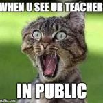 scared cat | WHEN U SEE UR TEACHER; IN PUBLIC | image tagged in scared cat | made w/ Imgflip meme maker