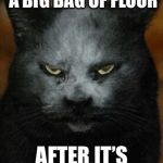 Flour Demon | YOU LOOK LIKE A BIG BAG OF FLOUR; AFTER IT’S BIG BREAK | image tagged in flour demon,memes,flour | made w/ Imgflip meme maker