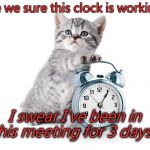 Kitty with alarm clock | Are we sure this clock is working? I swear I've been in this meeting for 3 days... | image tagged in kitty with alarm clock | made w/ Imgflip meme maker