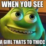 To Thicc | WHEN YOU SEE; A GIRL THATS TO THICC | image tagged in to thicc | made w/ Imgflip meme maker