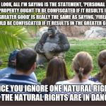 Gorilla TED Talk | LOOK, ALL I'M SAYING IS THE STATEMENT, 'PERSONAL PROPERTY OUGHT TO BE CONFISCATED IF IT RESULTS IN THE GREATER GOOD' IS REALLY THE SAME AS SAYING, 'FIREARMS SHOULD BE CONFISCATED IF IT RESULTS IN THE GREATER GOOD'. ONCE YOU IGNORE ONE NATURAL RIGHT, ALL THE NATURAL RIGHTS ARE IN DANGER. | image tagged in gorilla ted talk | made w/ Imgflip meme maker
