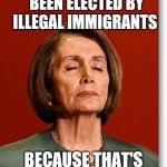 Blind Pelosi | DEMOCRATS MUST'VE  BEEN ELECTED BY ILLEGAL IMMIGRANTS; BECAUSE THAT'S ALL THEY CARE ABOUT | image tagged in blind pelosi | made w/ Imgflip meme maker
