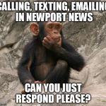 questioning monkey | CALLING, TEXTING, EMAILING IN NEWPORT NEWS; CAN YOU JUST RESPOND PLEASE? | image tagged in questioning monkey | made w/ Imgflip meme maker