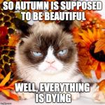 Grumpy Cat Autumn | SO AUTUMN IS SUPPOSED TO BE BEAUTIFUL; WELL, EVERYTHING IS DYING | image tagged in grumpy cat autumn | made w/ Imgflip meme maker