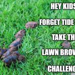 Dog Poop | HEY KIDS! FORGET TIDE PODS; TAKE THE; LAWN BROWNIE; CHALLENGE! | image tagged in dog poop | made w/ Imgflip meme maker