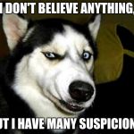 Skeptical Husky | I DON'T BELIEVE ANYTHING, BUT I HAVE MANY SUSPICIONS. | image tagged in suspicious husky dog,belief,funny | made w/ Imgflip meme maker
