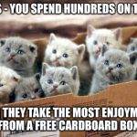 box of cats | CATS - YOU SPEND HUNDREDS ON TOYS; AND THEY TAKE THE MOST ENJOYMENT FROM A FREE CARDBOARD BOX | image tagged in box of cats | made w/ Imgflip meme maker