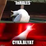 Inhaling Seagull | *InHALES*; CYKA.BLYAT | image tagged in inhaling seagull | made w/ Imgflip meme maker
