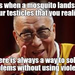 dalai lama | It is when a mosquito lands on your testicles that you realize, there is always a way to solve problems without using violence. | image tagged in dalai lama | made w/ Imgflip meme maker