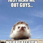 Hedgehog | JUST HEAR ME OUT GUYS... WE ARE ALL FISH | image tagged in hedgehog | made w/ Imgflip meme maker