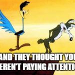 Roadrunner & Coyote | AND THEY THOUGHT YOU WEREN'T PAYING ATTENTION! | image tagged in roadrunner  coyote | made w/ Imgflip meme maker