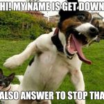 Angry Dogs | HI! MY NAME IS GET DOWN; I ALSO ANSWER TO STOP THAT | image tagged in angry dogs | made w/ Imgflip meme maker