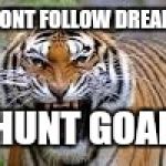 tiger!!!!! | I DONT FOLLOW DREAMS; I HUNT GOALS | image tagged in tiger | made w/ Imgflip meme maker