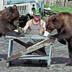 Russian drinking vodka with bears meme