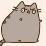 Y U NO PUSHEEN