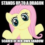 Fluttershy's mezmerizing personality is really  something | STANDS UP TO A DRAGON; SCARED OF HER OWN SHADOW | image tagged in fluttershy shrugs,memes,fluttershy,dragon,shadow,scared | made w/ Imgflip meme maker