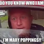 Pickering a fight | DO YOU KNOW WHO I AM! I'M MARY POPPINGS!! | image tagged in pickering a fight | made w/ Imgflip meme maker