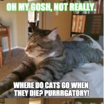 Bad Cat Joke | HEY CAT! DO YOU WANT TO HEAR A JOKE? OH MY GOSH, NOT REALLY. WHERE DO CATS GO WHEN THEY DIE? PURRRGATORY! SLEEP WITH ONE EYE OPEN, HUMAN. | image tagged in bad cat joke | made w/ Imgflip meme maker