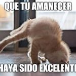 yoga kitty | QUE TU AMANECER; HAYA SIDO EXCELENTE | image tagged in yoga kitty | made w/ Imgflip meme maker