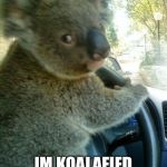 Driving koala  | DON’T WORRY; IM KOALAFIED TO DRIVE | image tagged in driving koala | made w/ Imgflip meme maker
