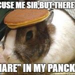 bunny | EXCUSE ME SIR,BUT THERE'S A; "HARE" IN MY PANCKAE | image tagged in bunny | made w/ Imgflip meme maker
