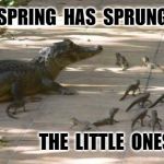 Spring in Florida | SPRING  HAS  SPRUNG; THE  LITTLE  ONES | image tagged in spring in florida | made w/ Imgflip meme maker