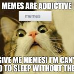 scared cat | MEMES ARE ADDICTIVE; GIVE ME MEMES! I'M CAN'T GO TO SLEEP WITHOUT THEM! | image tagged in scared cat | made w/ Imgflip meme maker