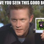 Have You Seen This Boy | HAVE YOU SEEN THIS GOOD BOI? | image tagged in have you seen this boy | made w/ Imgflip meme maker