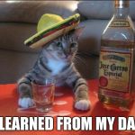 Tequila Cat | I LEARNED FROM MY DAD | image tagged in tequila cat | made w/ Imgflip meme maker