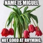 Wilted Flowers | ROSES ARE RED,
MY NAME IS MIGUEL; NOT GOOD AT RHYMING. 
TACO BELL. | image tagged in wilted flowers | made w/ Imgflip meme maker