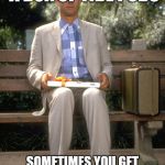 Forest gump | LOVE IS LIKE A BOX OF TIDE PODS; SOMETIMES YOU GET EATEN, SOMETIMES YOU GET PUT THROUGH THE WASHER | image tagged in forest gump | made w/ Imgflip meme maker