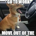 Corgi | SOME OF US GO TO WORK; MOVE OUT OF THE FREAKING WAY | image tagged in corgi | made w/ Imgflip meme maker